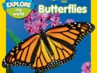 Explore My World Butterflies