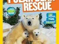 National Geographic Kids Mission: Polar Bear Rescue:all About Polar Bears And How To Save Them