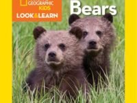 National Geographic Kids Look And Learn: Bears