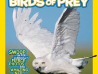 National Geographic Kids Everything Birds Of Prey:Swoop In For Seriously Fierce Photos And Amazing Info