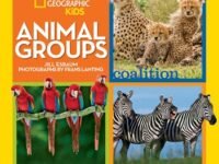 Animal Groups