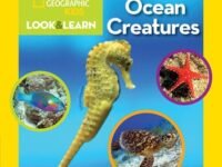 National Geographic Kids Look And Learn: Ocean Creatures