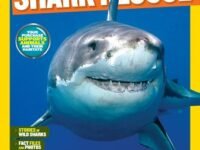 National Geographic Kids Mission: Shark Rescue:all About Sharks And How To Save Them
