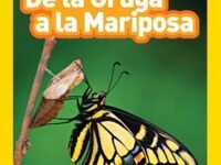 National Geographic Readers: De La Oruga A La Mariposa (Caterpillar To Butterfly)