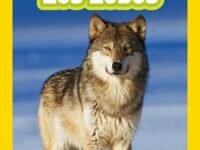 National Geographic Readers: Los Lobos (Wolves)
