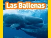 National Geographic Readers: Grandes Migraciones: Las Ballenas (Great Migrations: Whales)