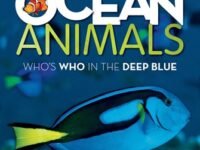 Ocean Animals:Who's Who In The Deep Blue