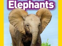 Elephants (National Geographic Kids Readers, Level 1)