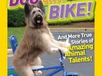 National Geographic Kids Chapters: Dog On A Bike:and More True Stories Of Amazing Animal Talents!