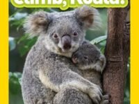 Climb, Koala! (National Geographic Kids Readers, Pre-Reader)