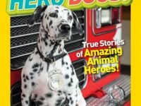 National Geographic Kids Chapters: Hero Dogs