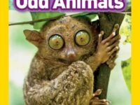 Odd Animals (National Geographic Kids Readers, Pre-Reader)