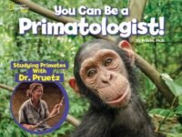 You Can Be A Primatologist:Studying Primates With Dr. Pruetz