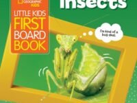 National Geographic Kids Little Kids First Board Book: Insects