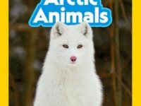 Arctic Animals (National Geographic Kids Readers, Level 2)