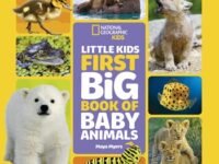 National Geographic Little Kids First Big Book Of Baby Animals