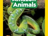 Amazon Animals (National Geographic Kids Readers, Level 3):100 Fun Facts About Snakes, Sloths, Spiders, And More