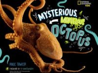 Mysterious, Marvelous Octopus!