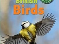 Nature In Your Neighbourhood: British Birds