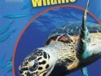Ocean Wildlife