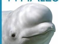 Animals Are Amazing: Whales