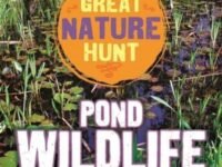 The Great Nature Hunt: Pond Wildlife