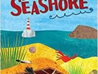 The Seashore (the Curiosity Box)