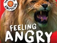 Tame Your Emotions: Feeling Angry