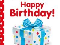 Baby Touch And Feel: Happy Birthday
