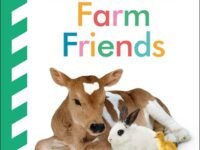 Baby Touch And Feel: Farm Friends
