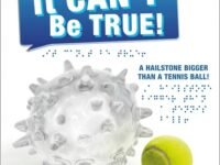 Dk Braille: It Can't Be True:Incredible Tactile Comparisons