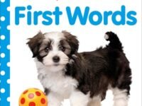 Baby Touch And Feel: First Words