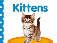 Baby Touch And Feel: Kittens
