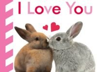 Baby Touch And Feel I Love You
