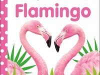 Baby Touch And Feel Flamingo