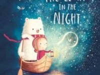 The Light In The Night