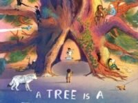 A Tree Is A Time Machine