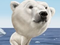 What Is Climate Change? (What Was?)