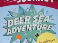 A Maths Journey Deep Sea  Adventure: Exciting Real Life Number Challanges