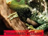 Endangered Wildlife: Rescuing Reptiles