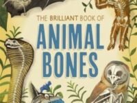 The Brilliant Book Of Animal Bones