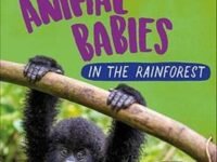 Animal Babies: In The Rainforest