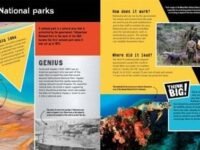 Think Big!: The Greatest Ideas In Conservation