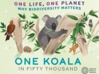 One Life, One Planet: One Koala In Fifty Thousand:Why Biodiversity Matters
