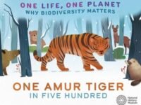 One Life, One Planet: One Amur Tiger In Five Hundred:Why Biodiversity Matters