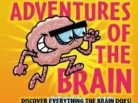 Adventures Of The Brain:What The Brain Does And How It Works
