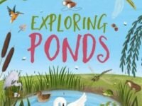 Adventures In Nature: Exploring Ponds