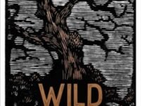 Wild:Tales From Early Medieval Britain From The Bestselling Author Of Storyland