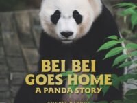 Bei Bei Goes Home: A Panda Story