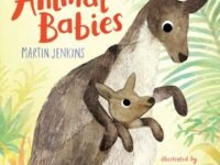 Find Out About Animal Babies